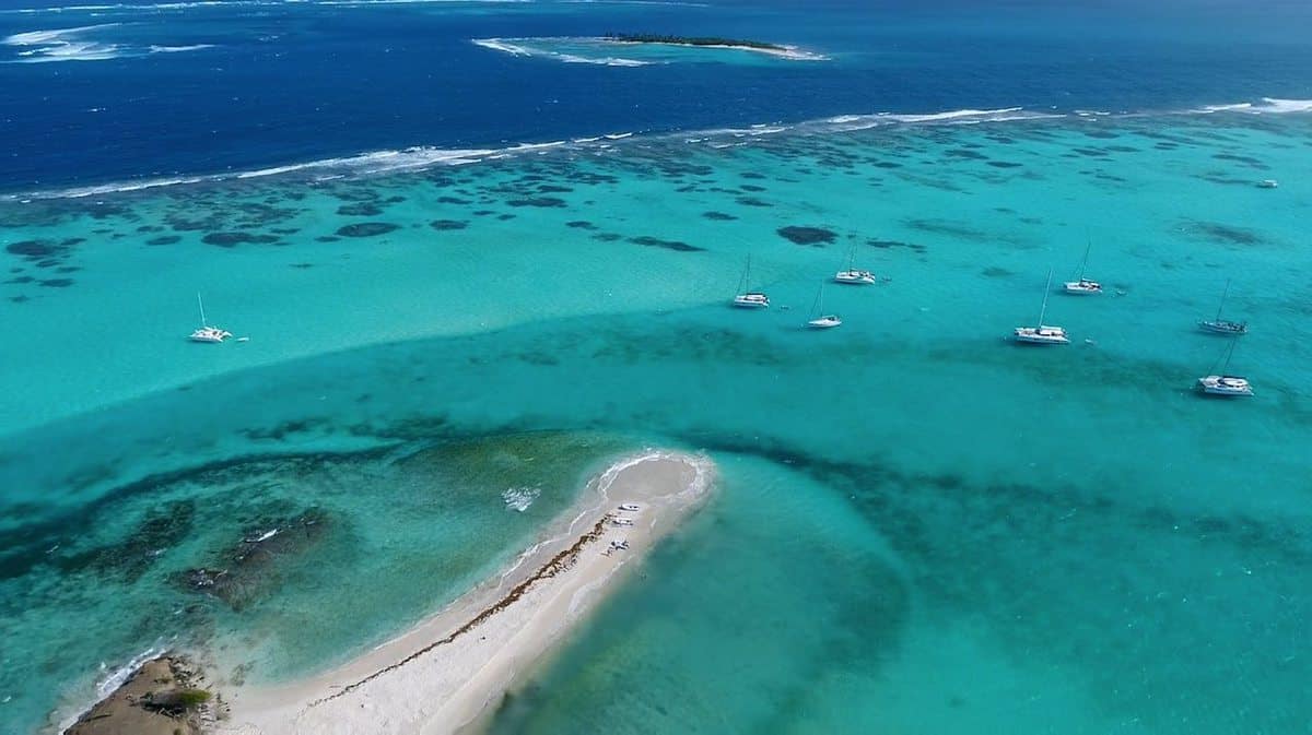 You are currently viewing Les Tobago Cays aux Grenadines