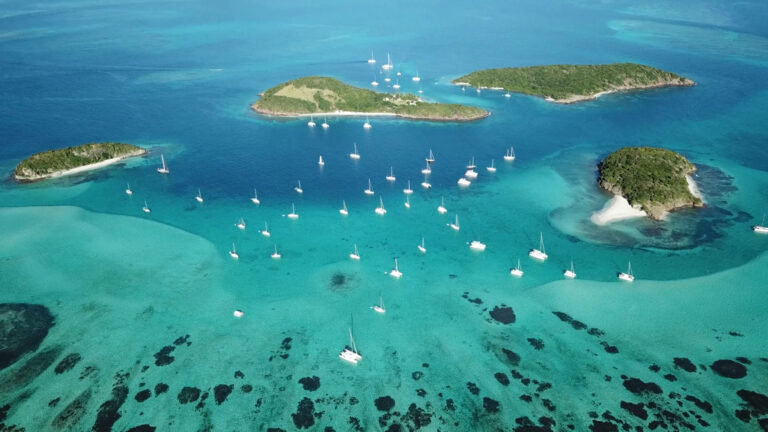 Tobago Cays Grenadines Croisiere Catamaran