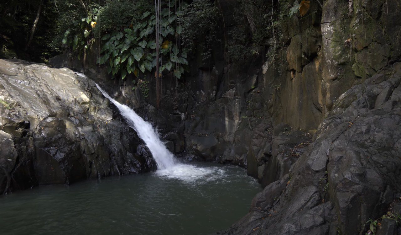 Cascade aux Acomats Guadeloupe