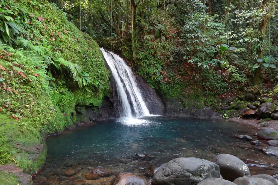 Cascade de Bras David Guadeloupe