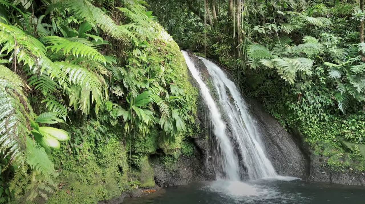 cascade aux Ecrevisses Guadeloupe