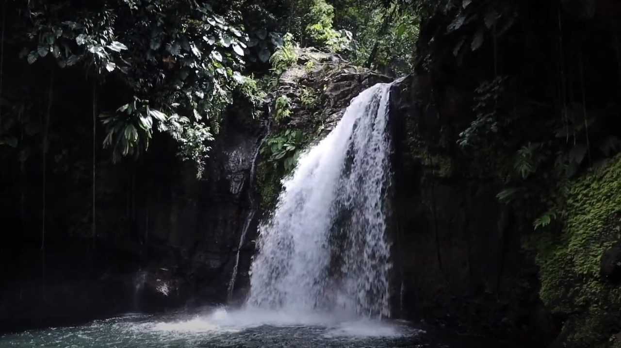 cascade du Saut de la Lézarde Guadeloupe