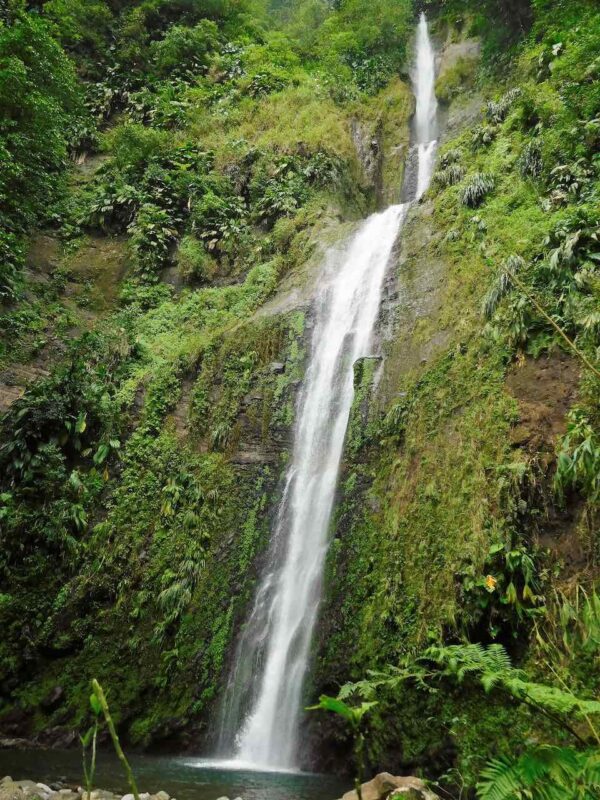 cascade Moreau Guadeloupe