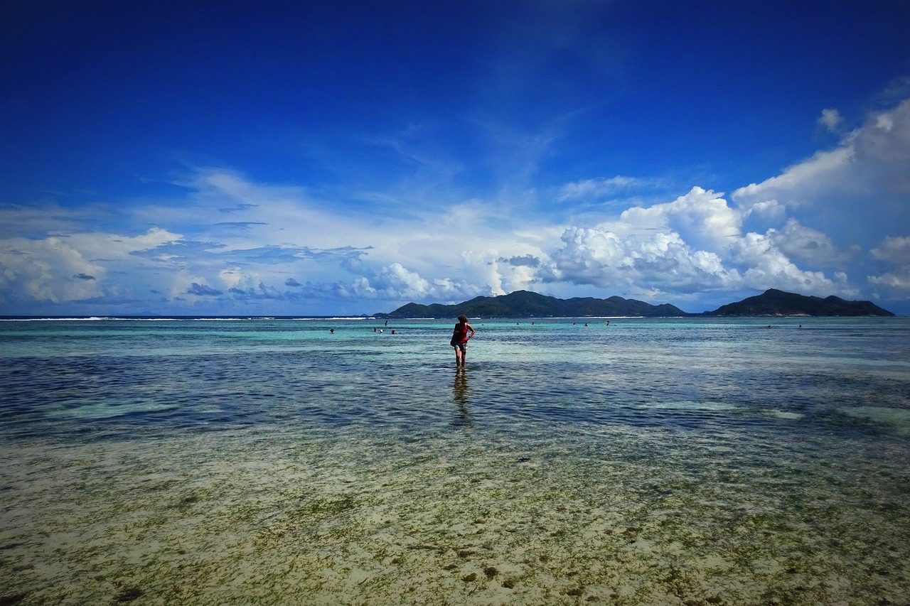 You are currently viewing 10 bonnes raisons de partir aux Seychelles
